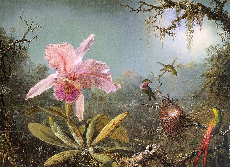 Martin Johnson Heade Cattleya Orchid Three Brazilian Hummingbirds Norge oil painting art